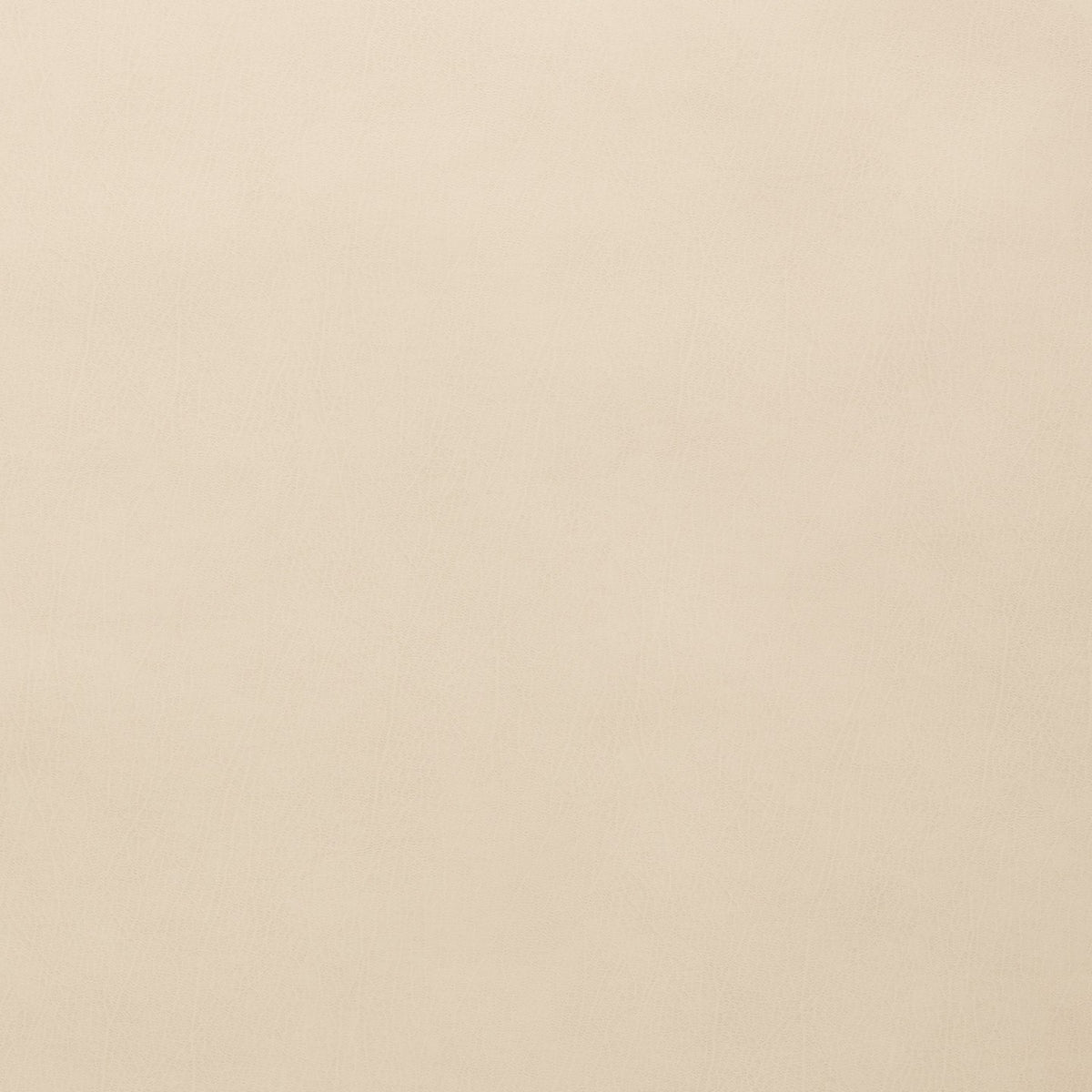 Square xlrg atticus 04 birch.jpg