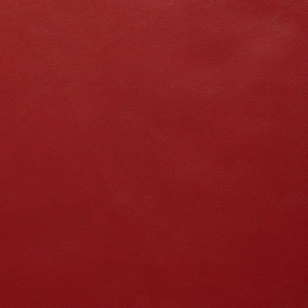 Square xlrg atticus 17 cardinal.jpg