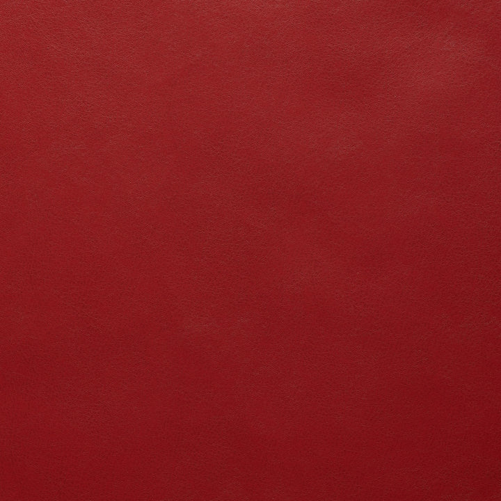 Square xlrg atticus 17 cardinal.jpg