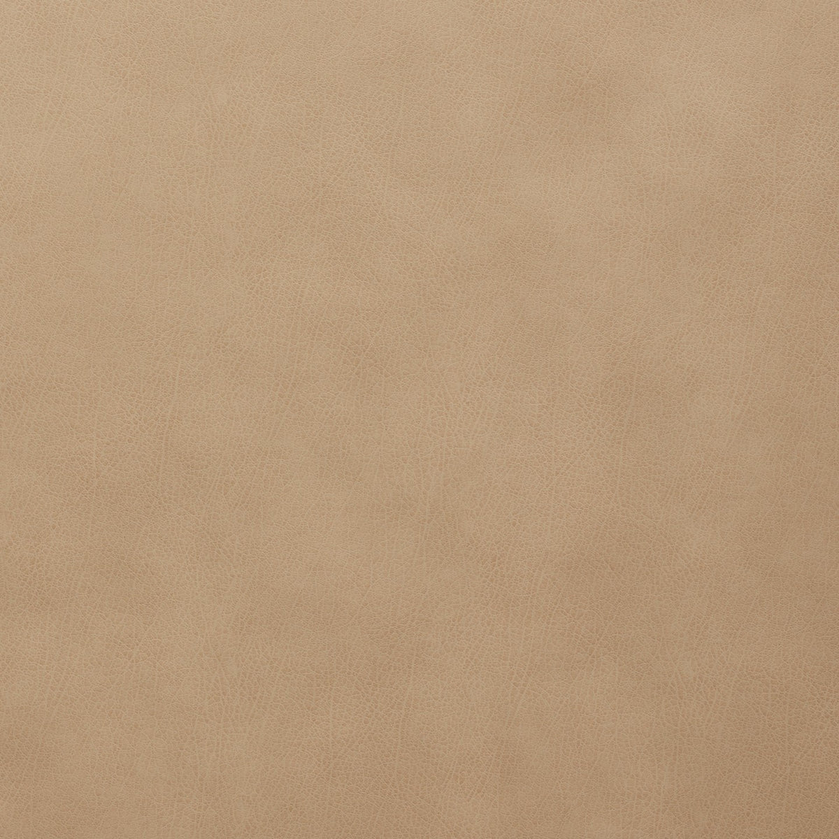 Square xlrg atticus 62 oak.jpg