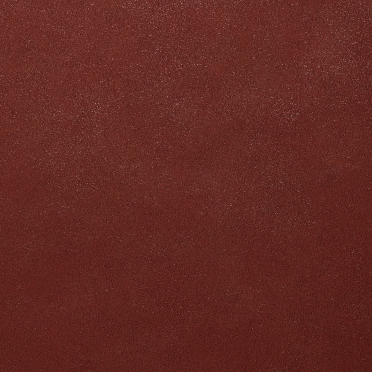 Square xlrg atticus 83 sumac.jpg