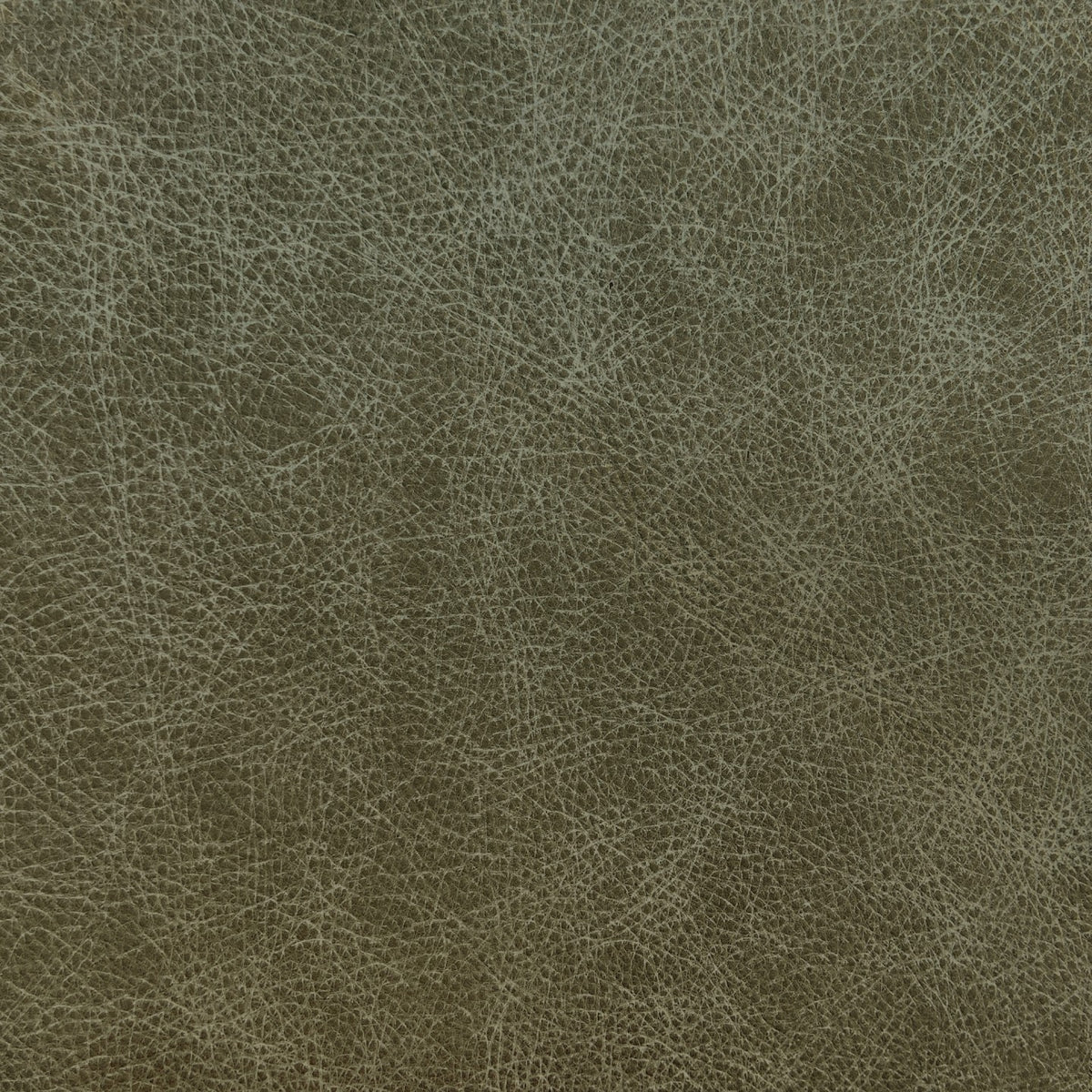 Square xlrg balmoral shale 2.jpg