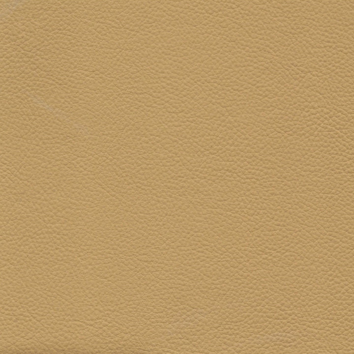 Square xlrg bravo honey.jpg
