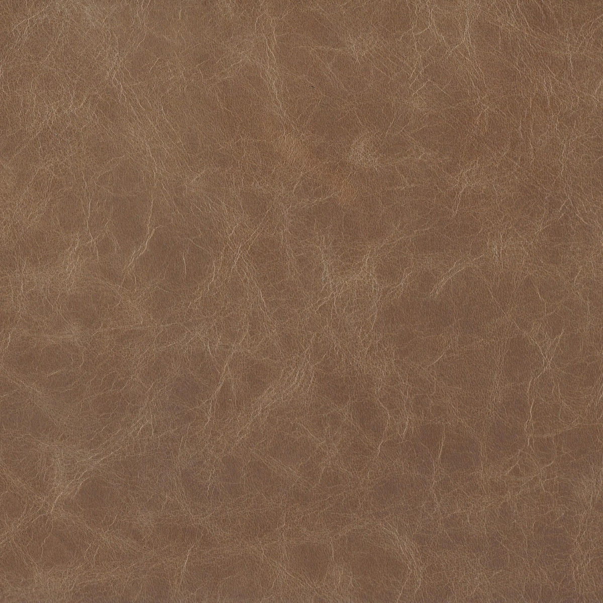 Square xlrg bromley driftwood.jpg