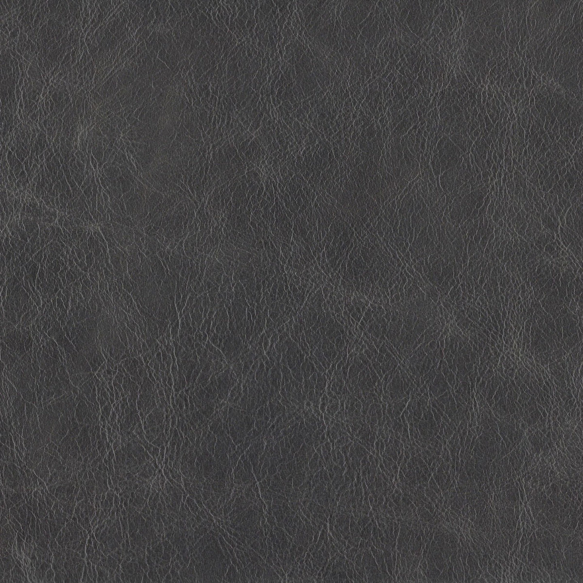 Square xlrg bromley shale 2.jpg