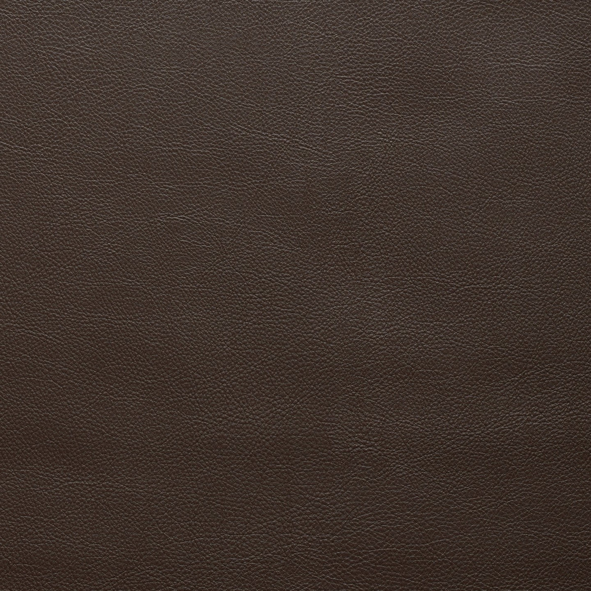 Square xlrg classic scl 014 chocolate.jpg