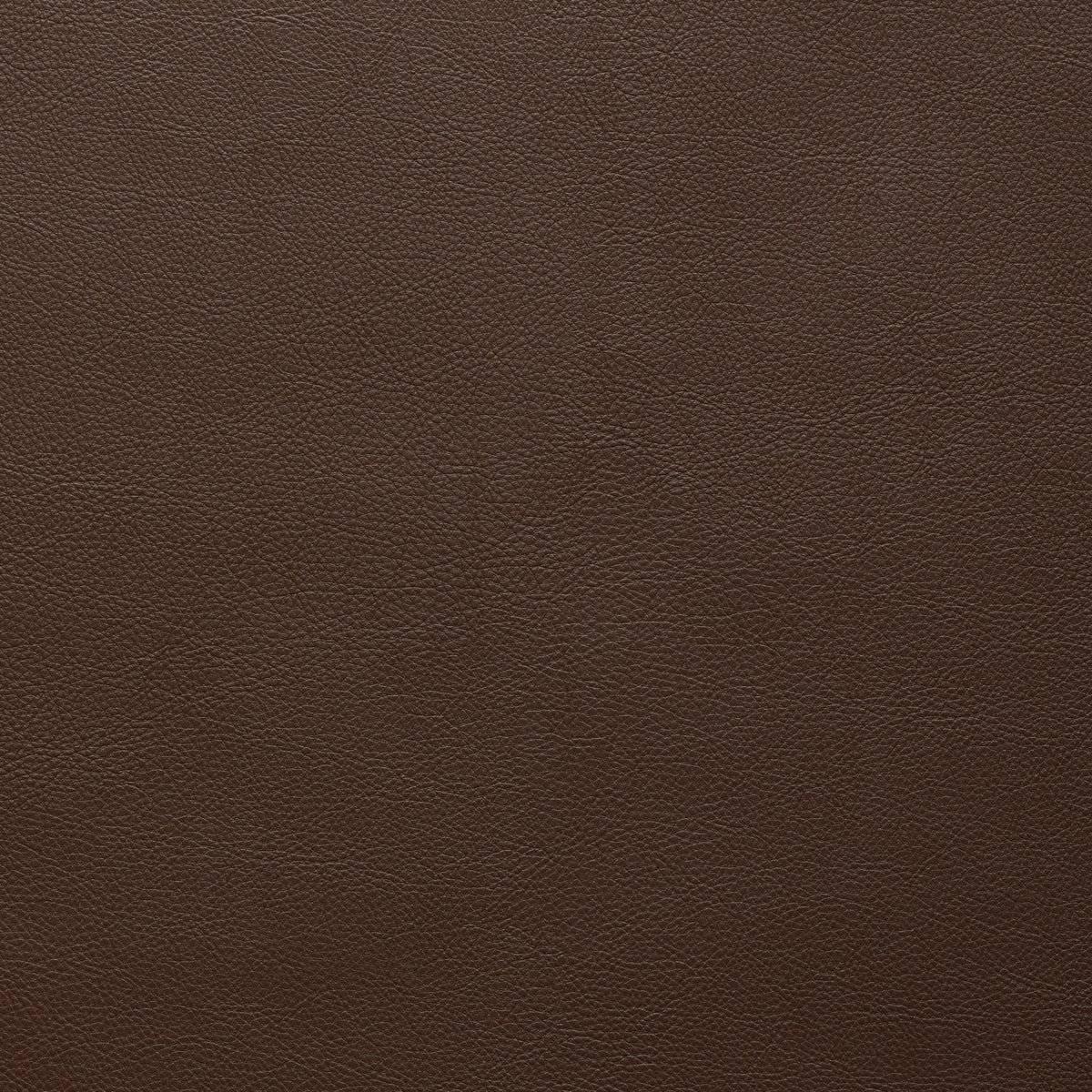 Square xlrg classic scl 018 fudge.jpg