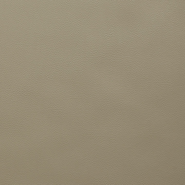 Square xlrg classic scl 222 porcini.jpg
