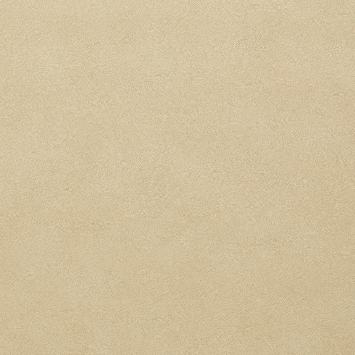 Square xlrg denali 81 papyrus.jpg
