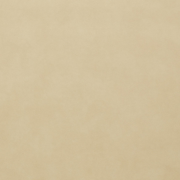 Square xlrg denali 81 papyrus.jpg