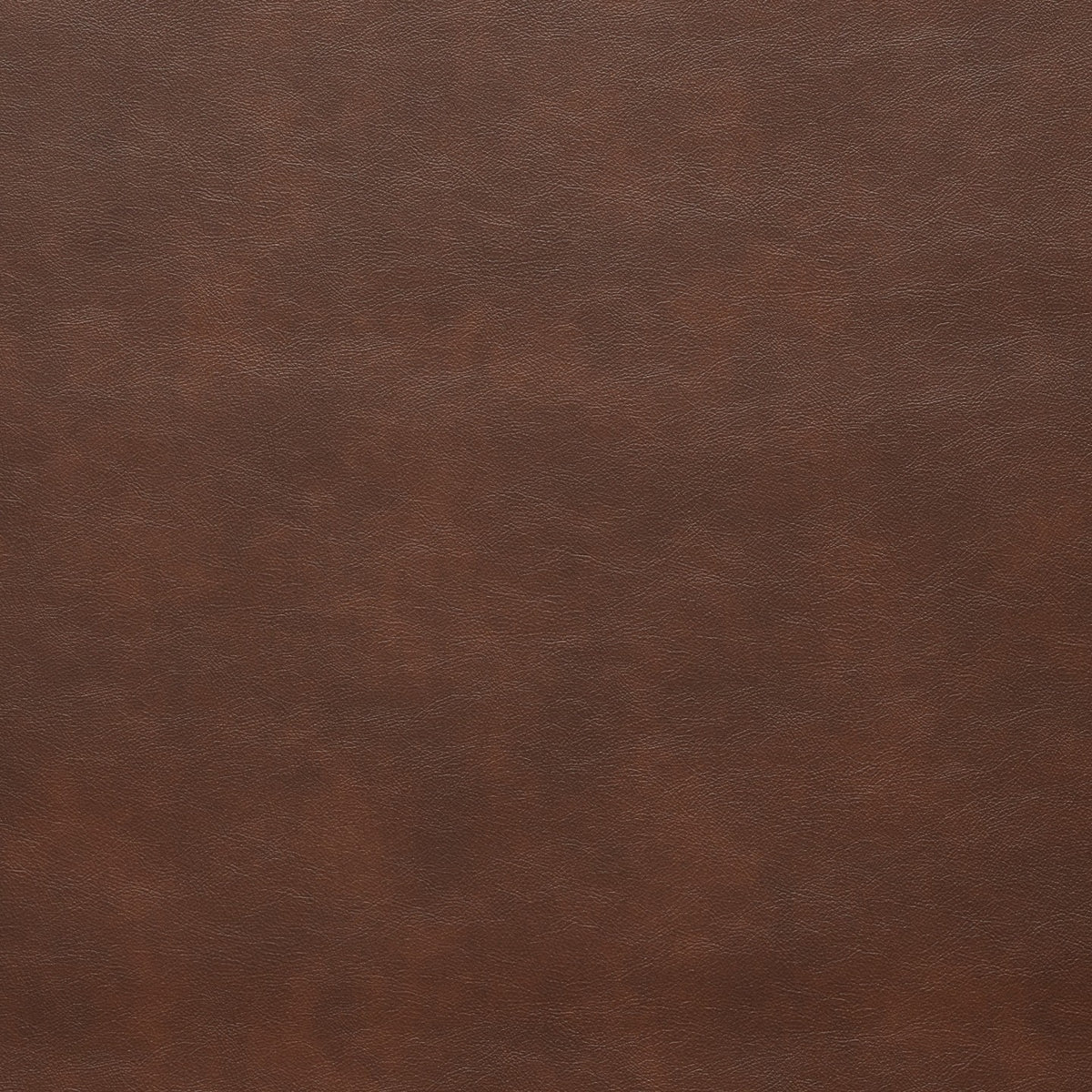 Square xlrg denali 95 woodland.jpg