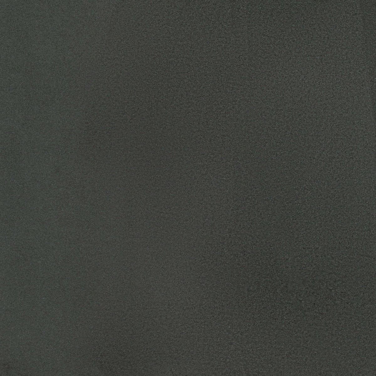 Square xlrg elias 10 alpine.jpg