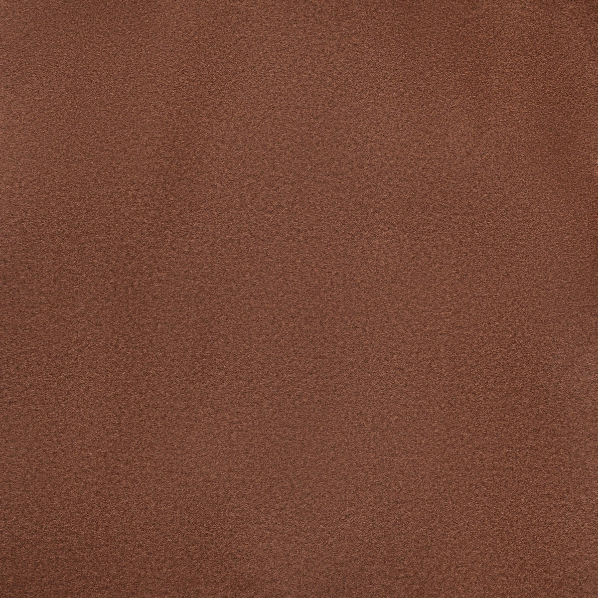 Square xlrg elias 66 red fox.jpg