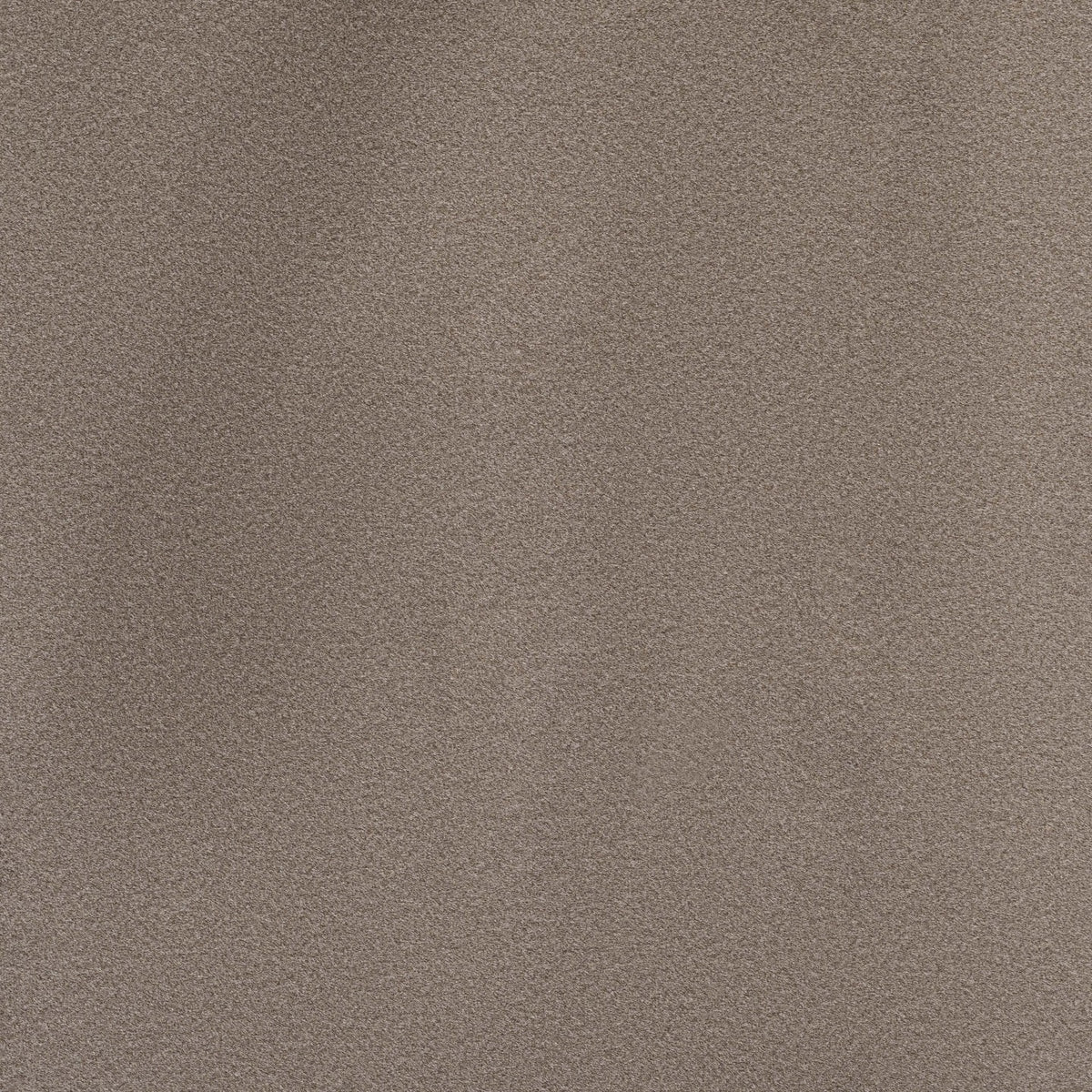 Square xlrg elias 94 wooly.jpg