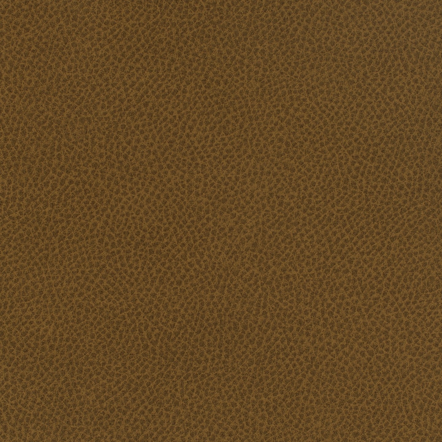 Square xlrg everdeen 29 butternut 2.jpg