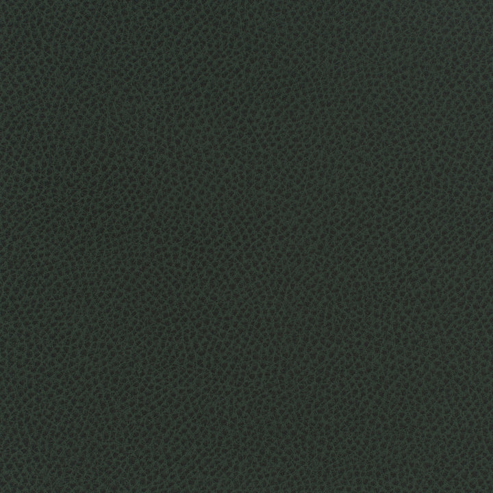 Square xlrg everdeen 49 forage 2.jpg