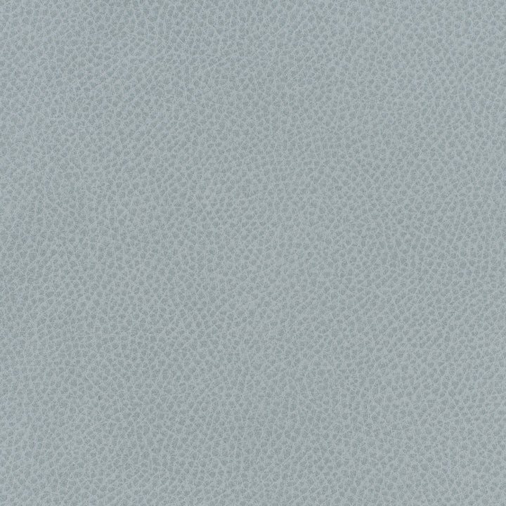 Square xlrg everdeen 52 freshwater 2 1.jpg