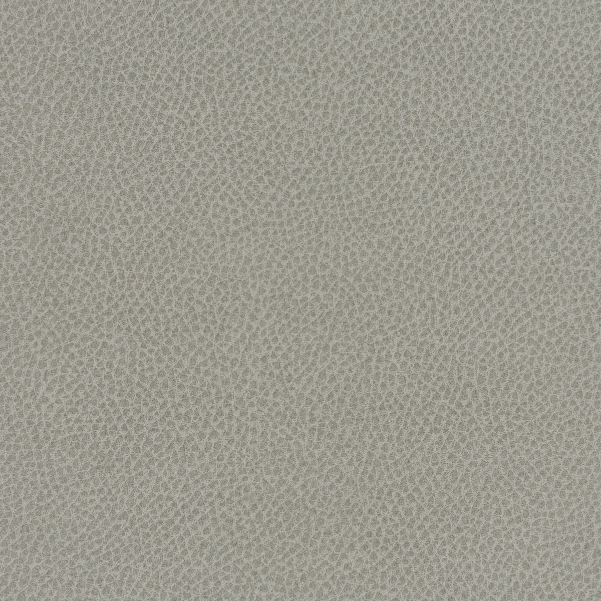 Square xlrg everdeen 74 rocky 2.jpg