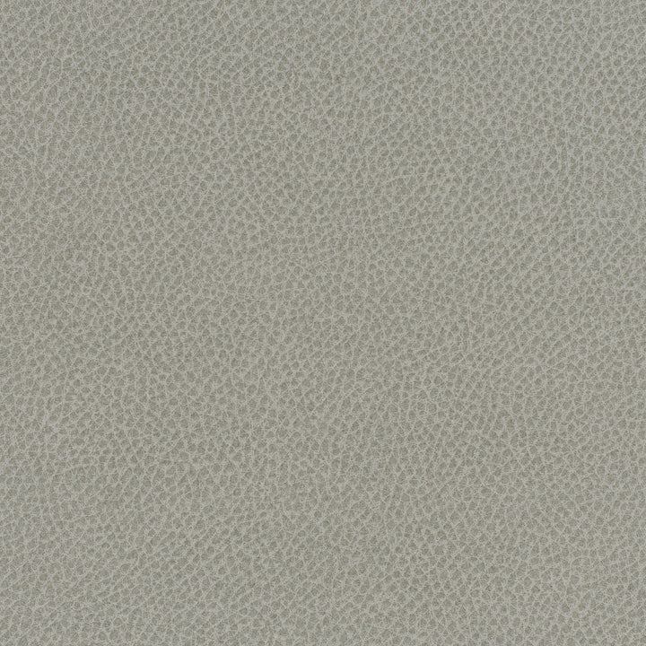 Square xlrg everdeen 74 rocky 2.jpg