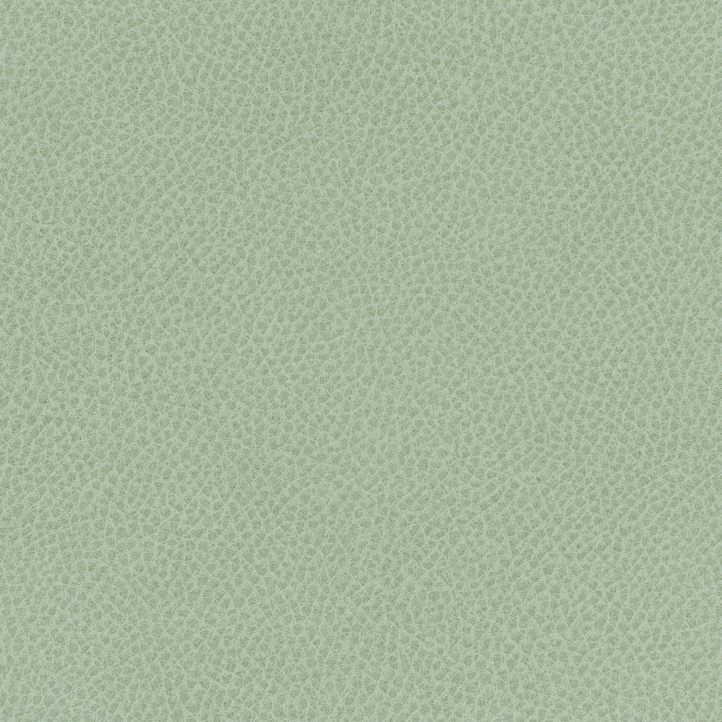 Square xlrg everdeen 86 sweet mint 2 1.jpg