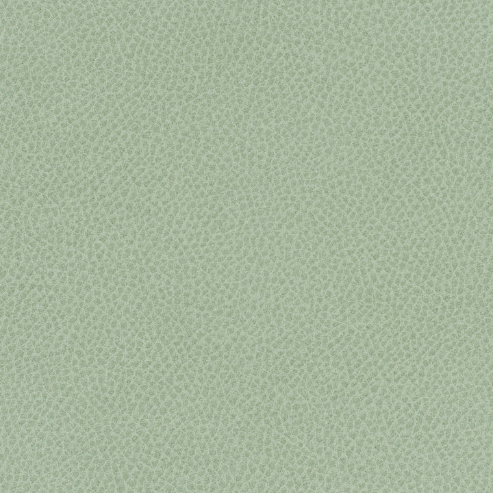 Square xlrg everdeen 86 sweet mint 2 1.jpg