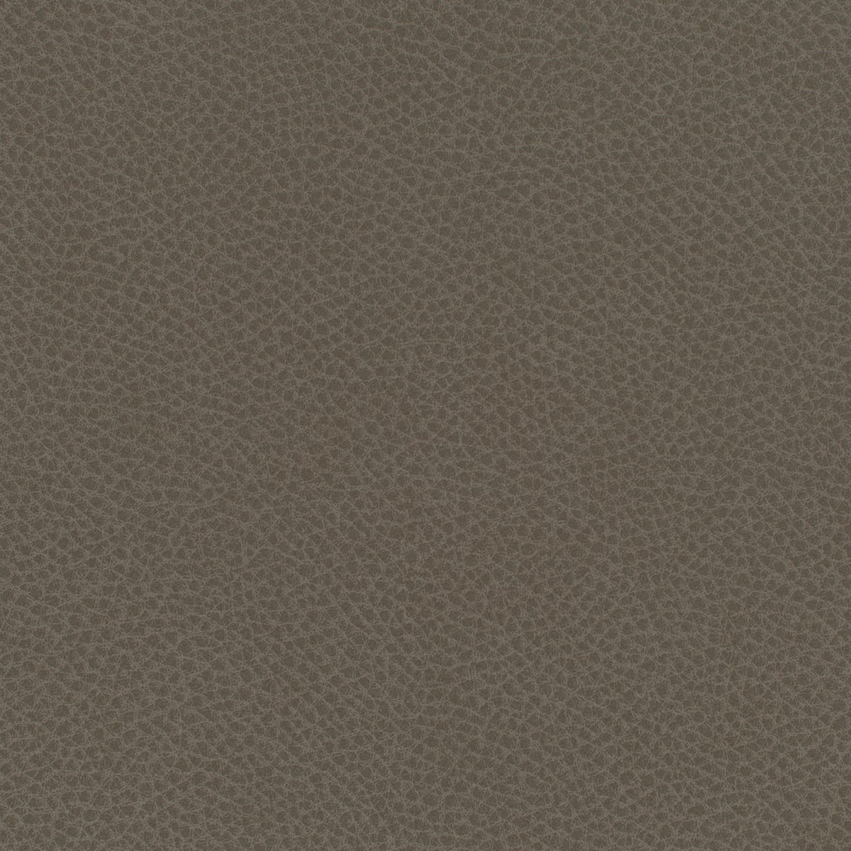 Square xlrg everdeen 95 weathered 2 1.jpg