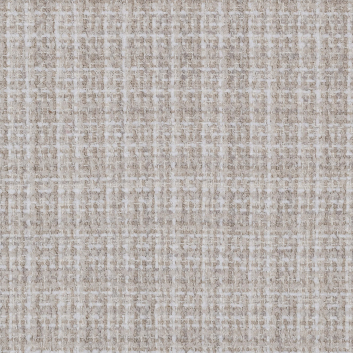 Square xlrg finnegan 41 lamb.jpg