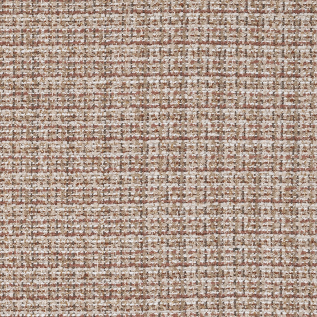 Square xlrg finnegan 57 prawn.jpg