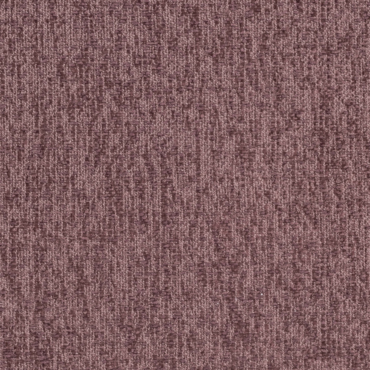 Square xlrg georgia 22 fig.jpg