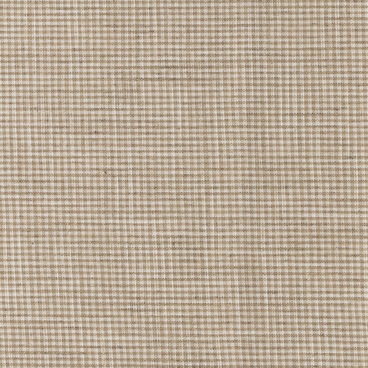 Square xlrg gingham 08 birch.jpg