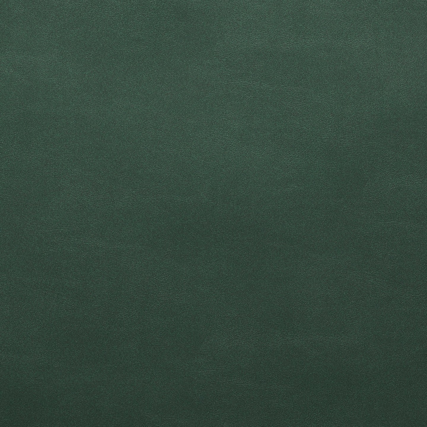 Square xlrg hawthorne wha 015 sherwood.jpg