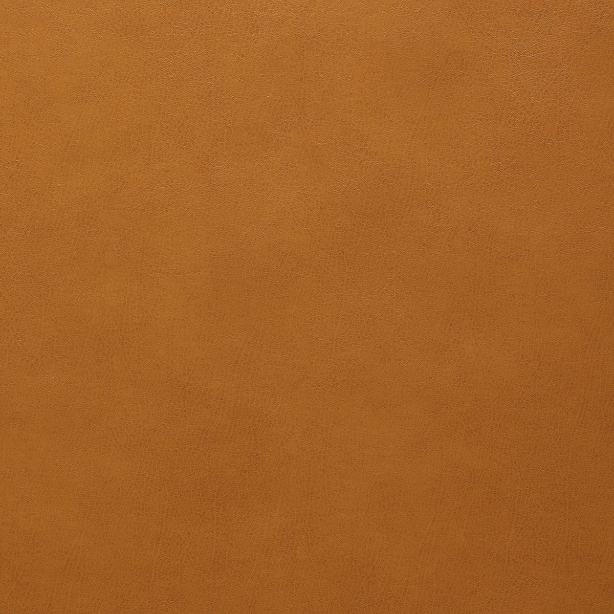 Square xlrg hemingway whm 002 chaps.jpg