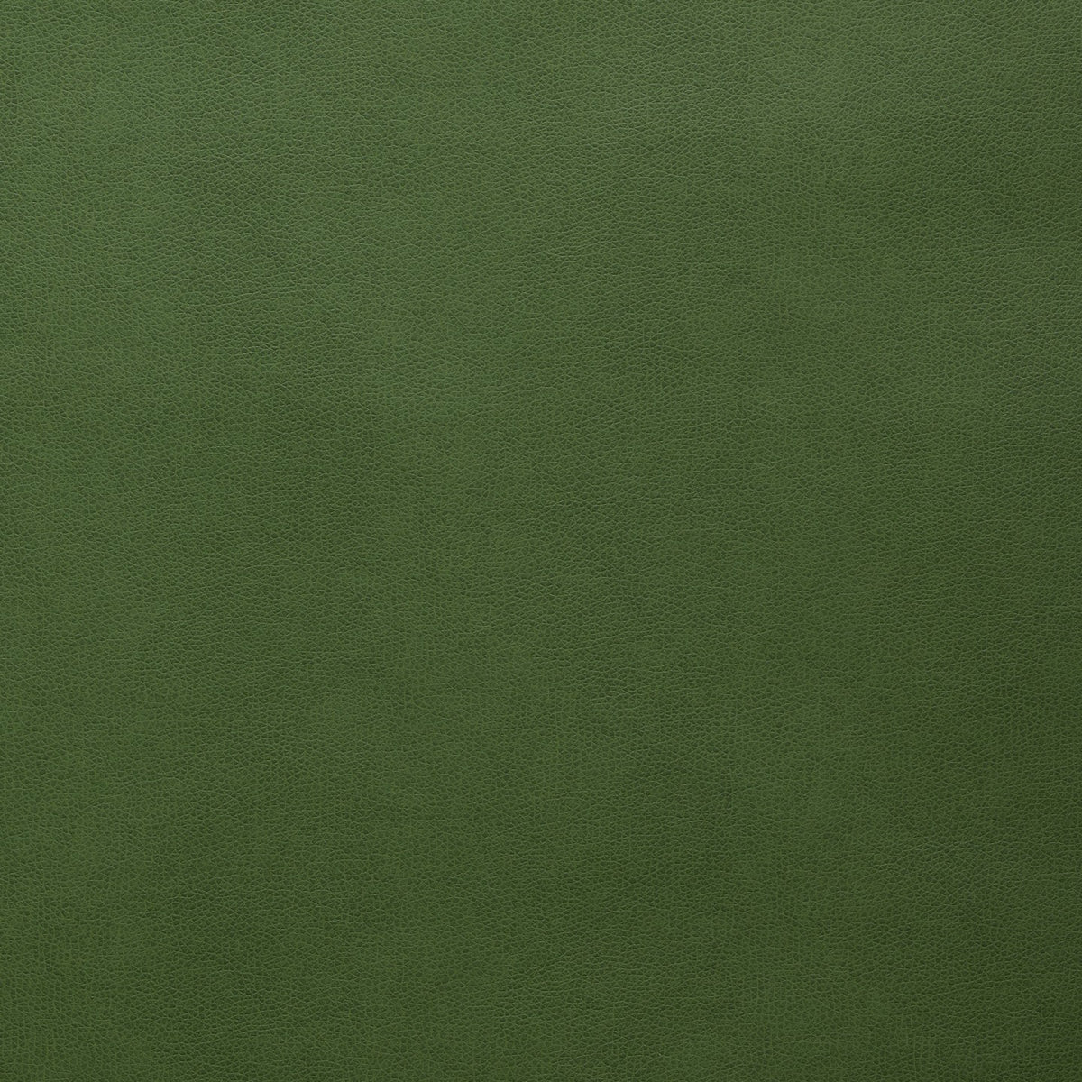Square xlrg hester 41 forest.jpg