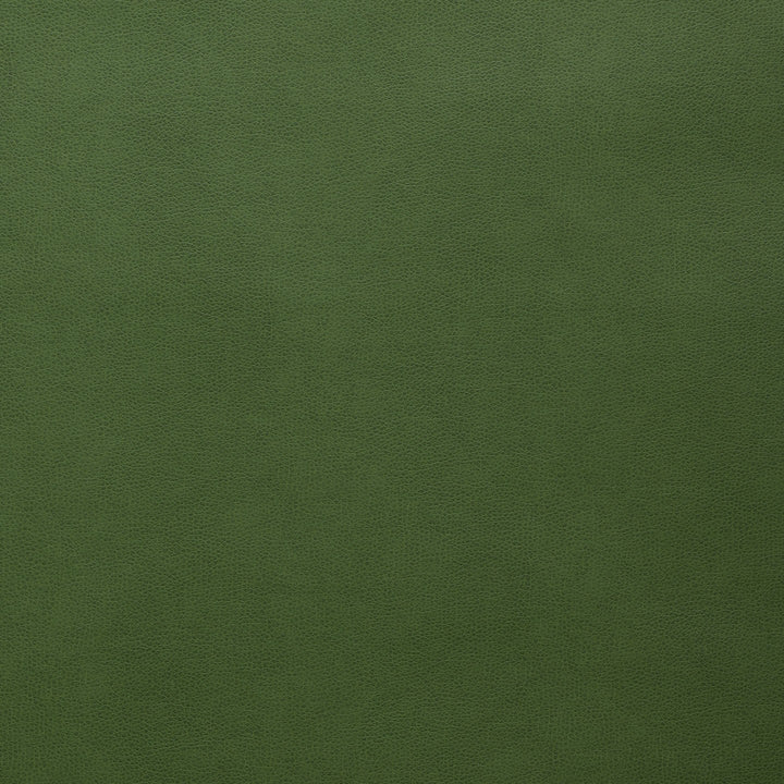Square xlrg hester 41 forest.jpg