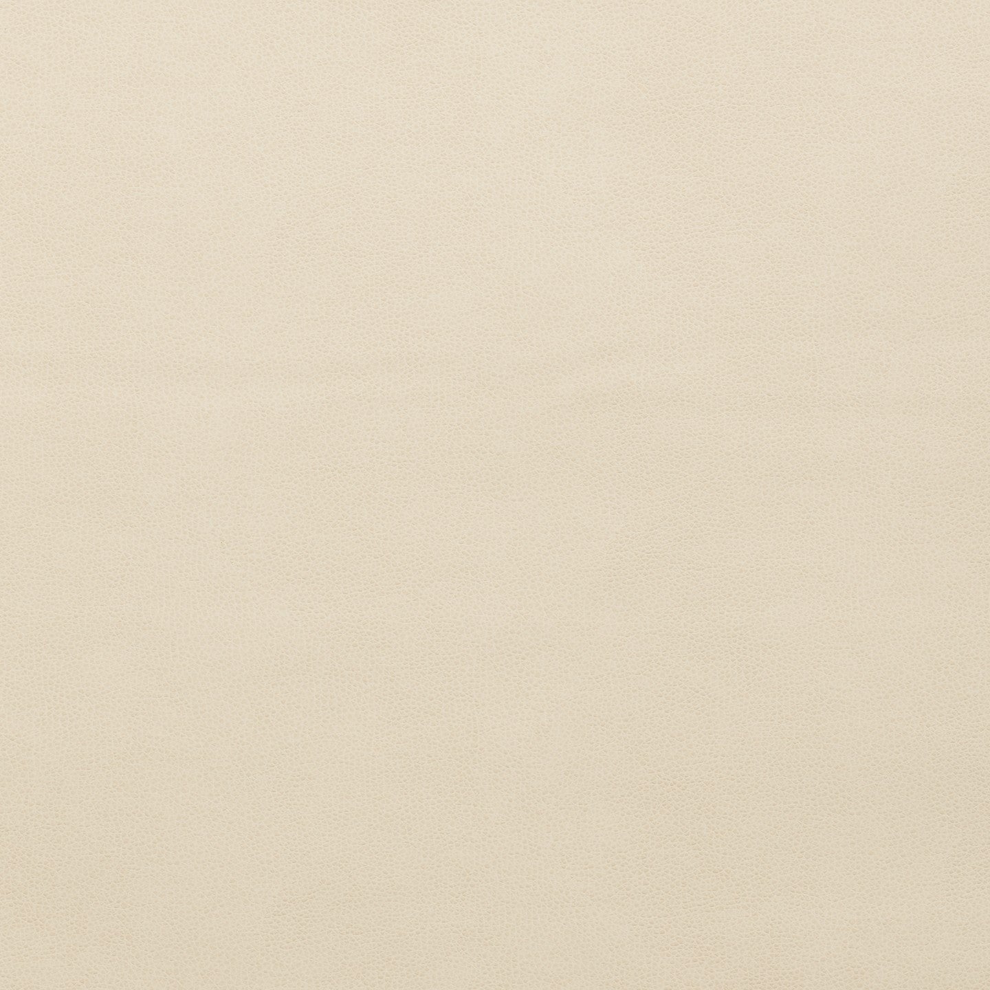 Square xlrg hester 66 papyrus.jpg