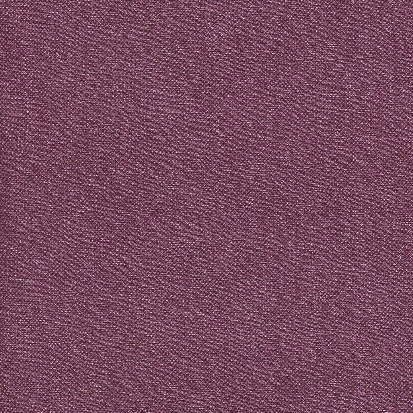 Square xlrg kil 2956 vineyard.jpg