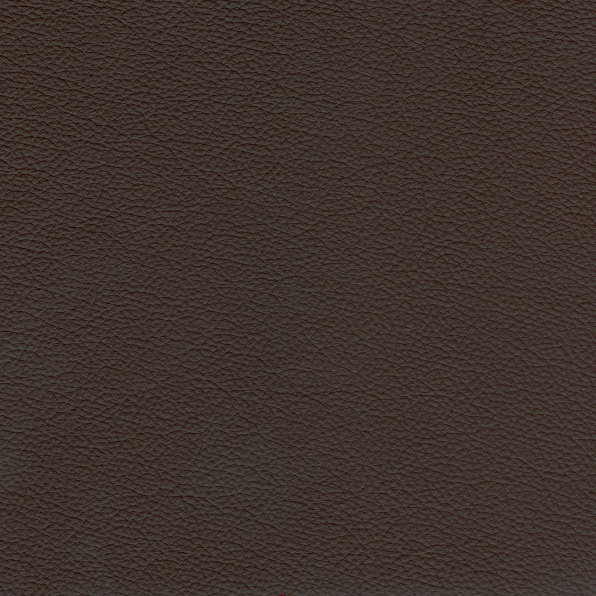 Square xlrg meridian espresso.jpg