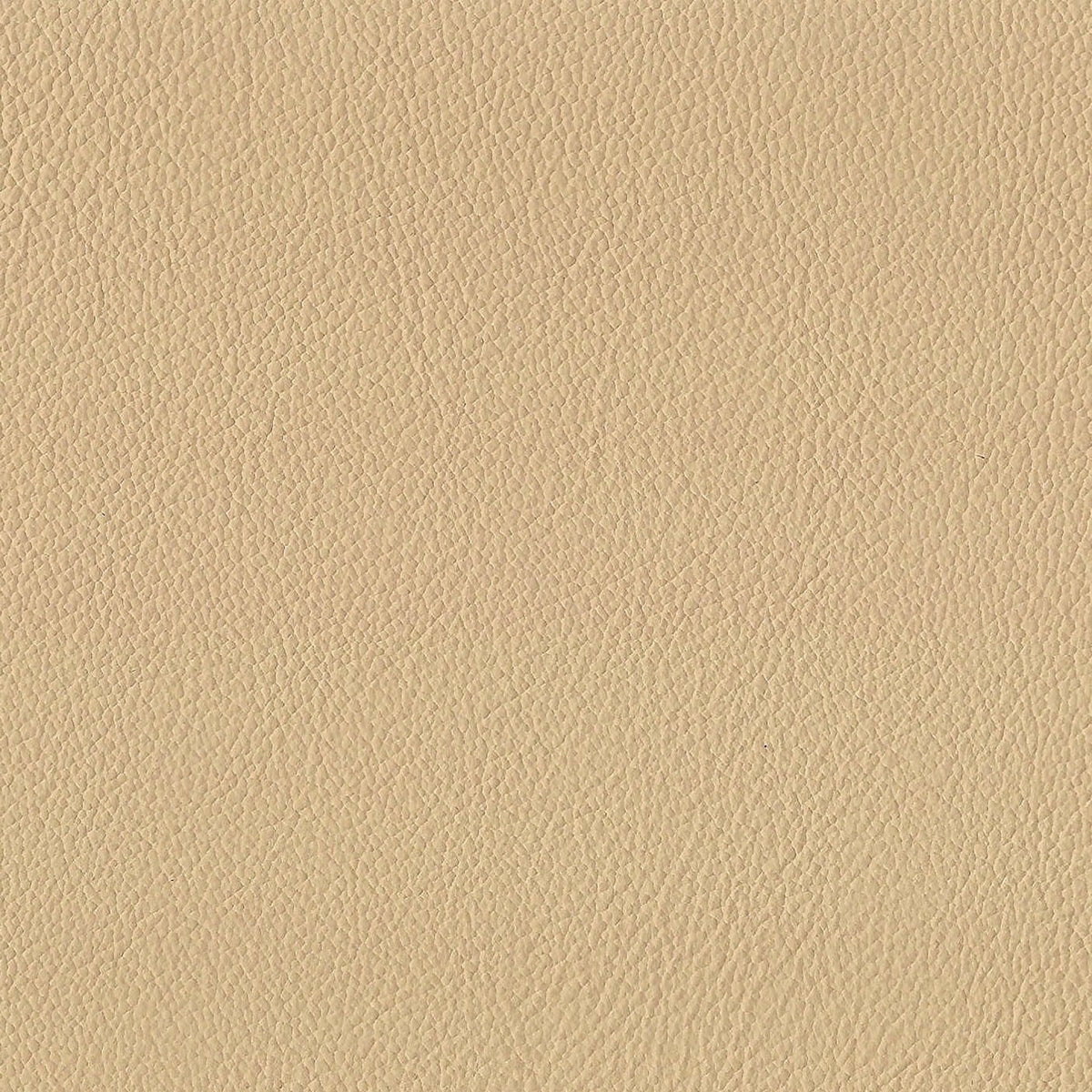 Square xlrg meridian malt.jpg