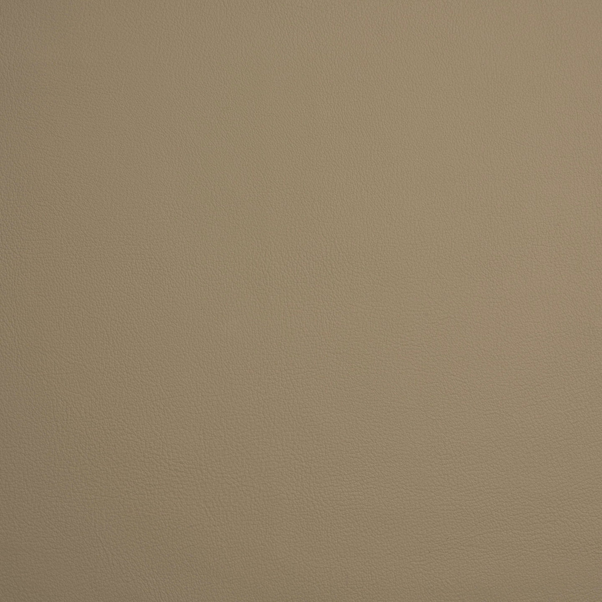 Square xlrg meridian pebble.jpg