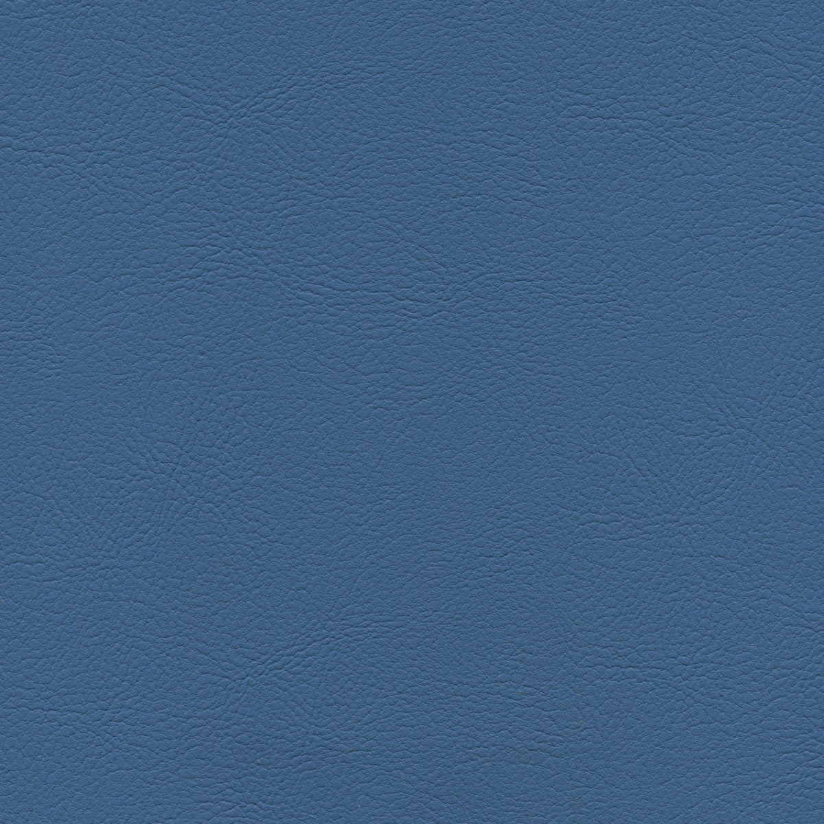 Square xlrg mod 2002 bluebird 1.jpg