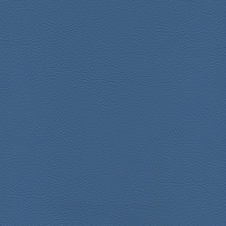 Square xlrg mod 2002 bluebird 1.jpg