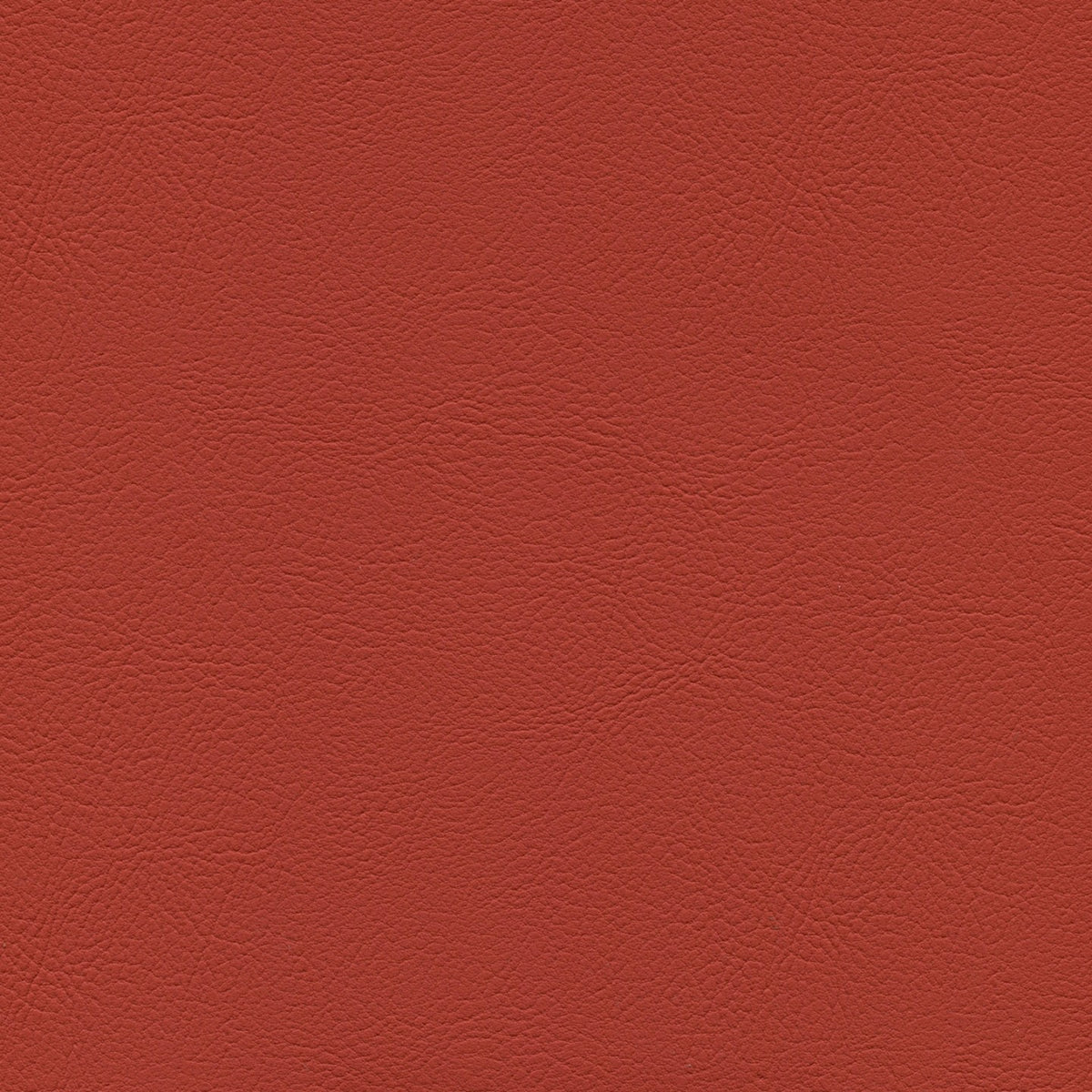 Square xlrg mod 2003 tandoori.jpg