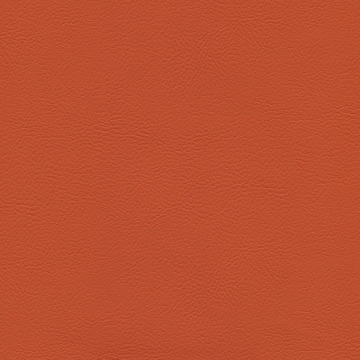 Square xlrg mod 2004 mandarin 1.jpg