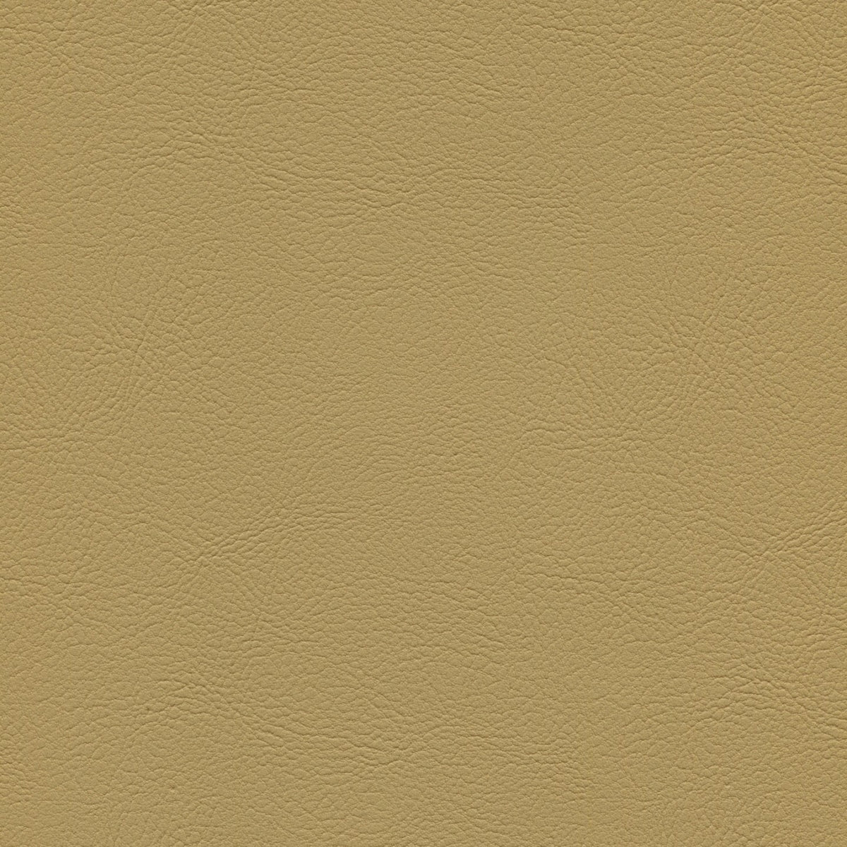 Square xlrg mod 2005 champagne 1.jpg