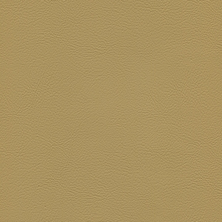 Square xlrg mod 2005 champagne 1.jpg