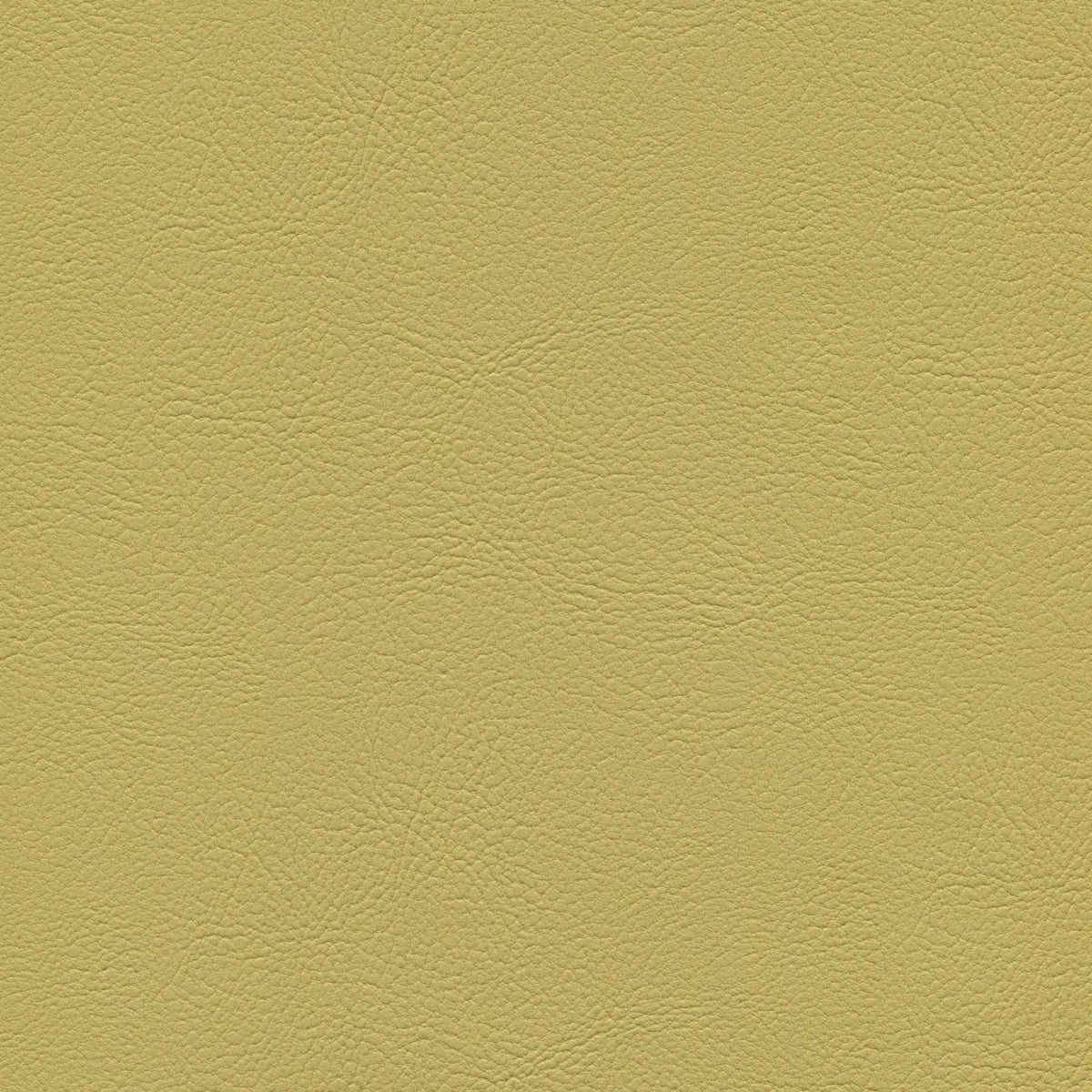 Square xlrg mod 2006 medallion.jpg
