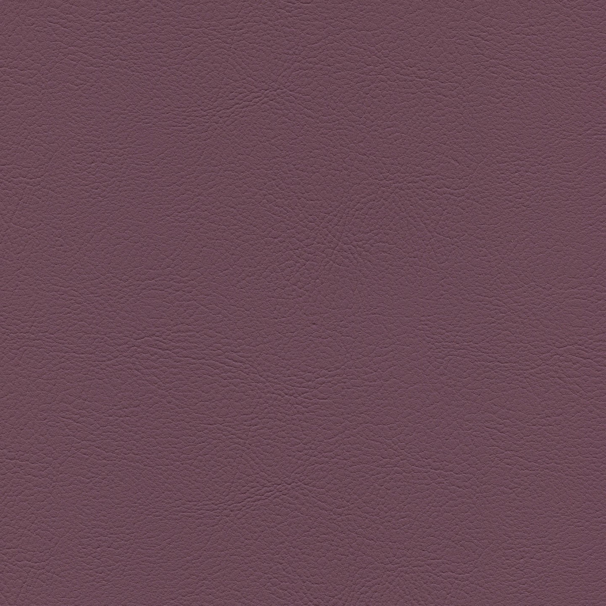 Square xlrg mod 2016 bohemian 1.jpg