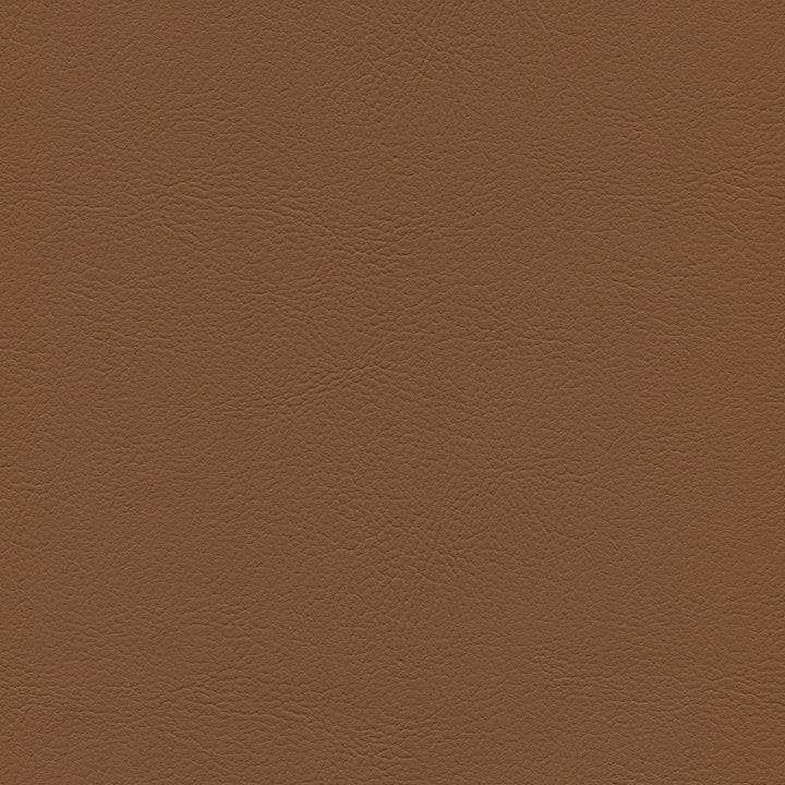 Square xlrg mod 2019 nutmeg.jpg