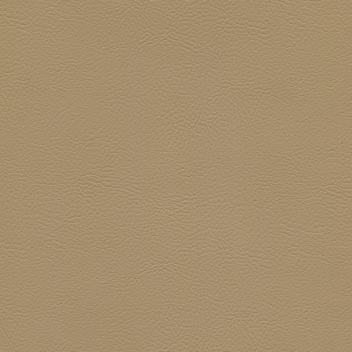 Square xlrg mod 2020 pearl.jpg