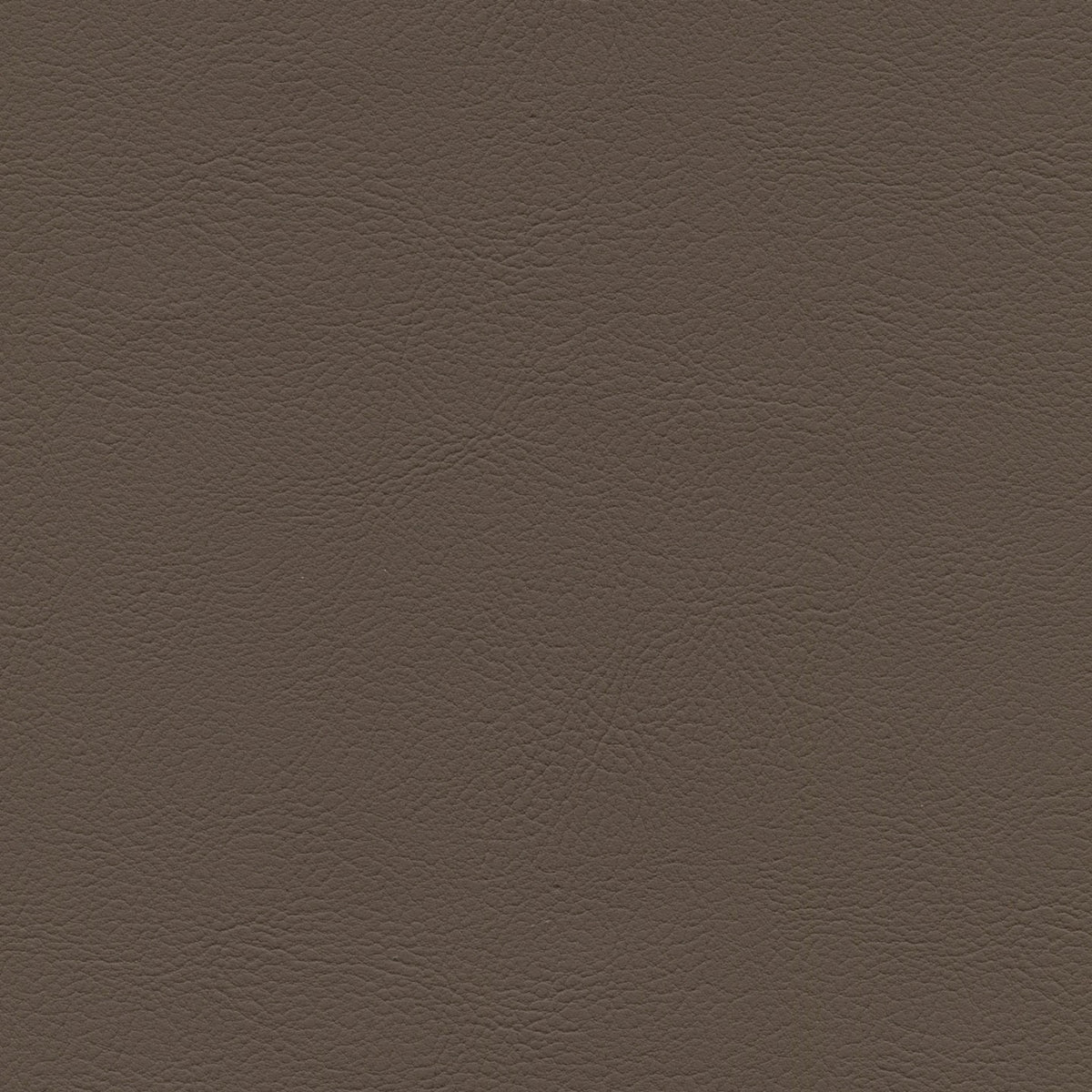 Square xlrg mod 2023 cocoa 1.jpg